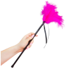 Secretplay - Plumes Rose 40 Cm